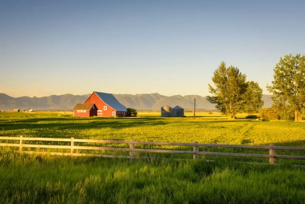 USDA Loans Image