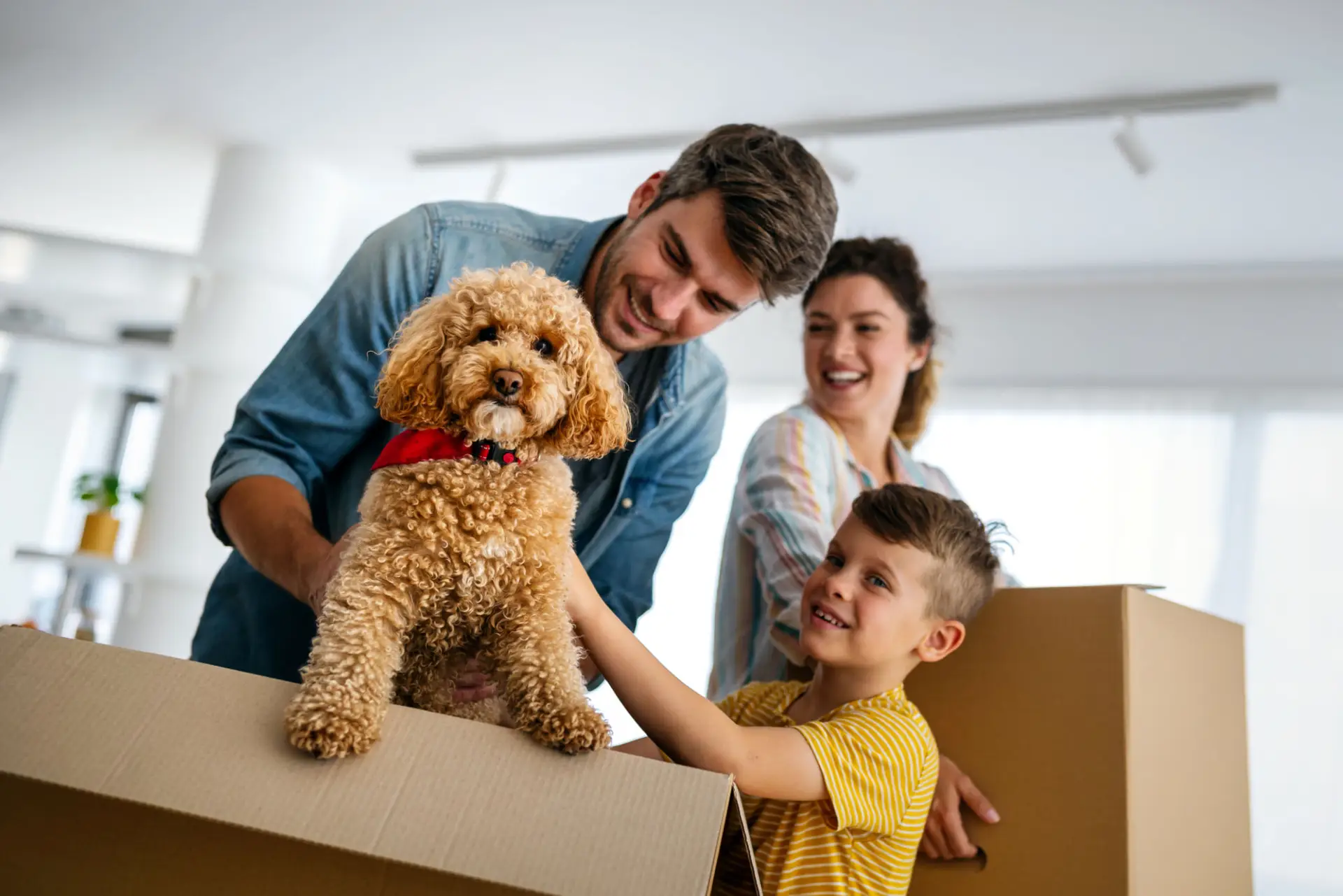 What Are The Different Types Of VA Loans Jpg